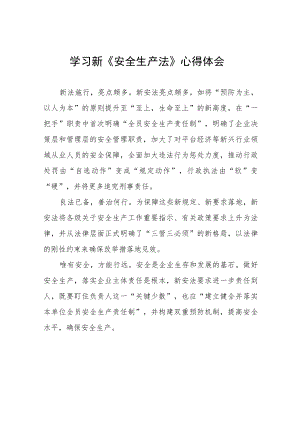 公司学习新《安全生产法》学习心得十篇样本.docx