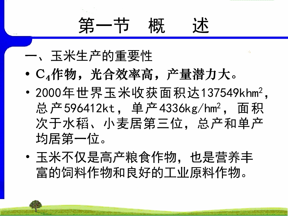 作物栽培学课件7玉米.ppt_第2页