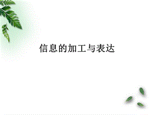 信息的加工与表达.ppt