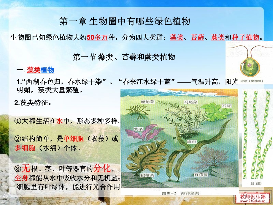 人教版七年级上册生物第三单元教学课件.ppt_第2页