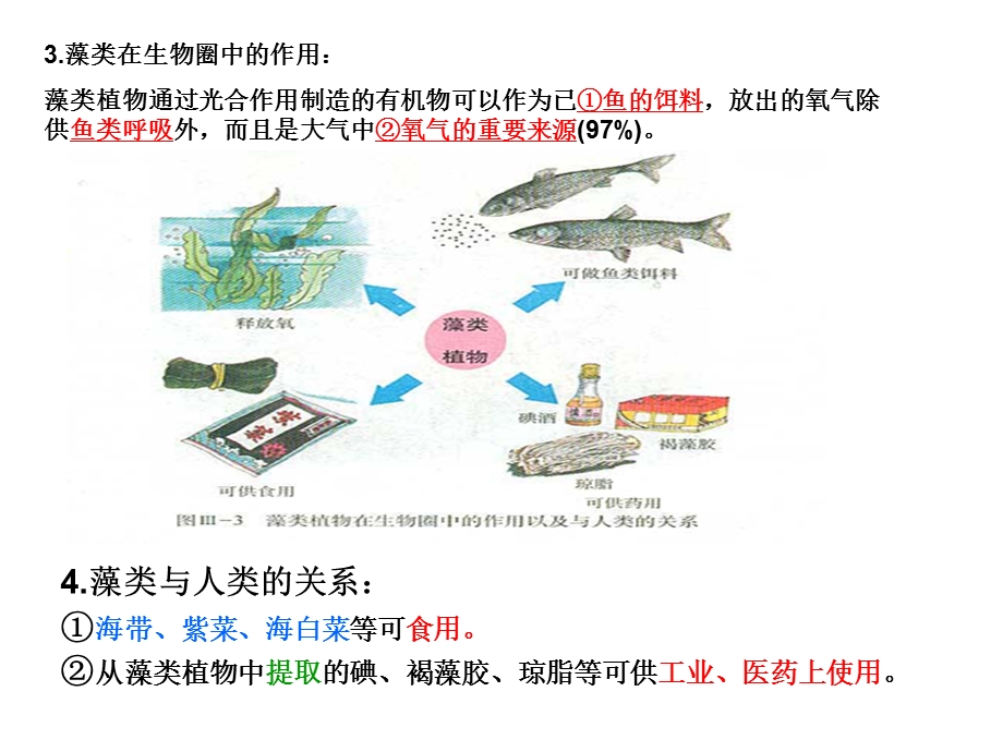 人教版七年级上册生物第三单元教学课件.ppt_第3页