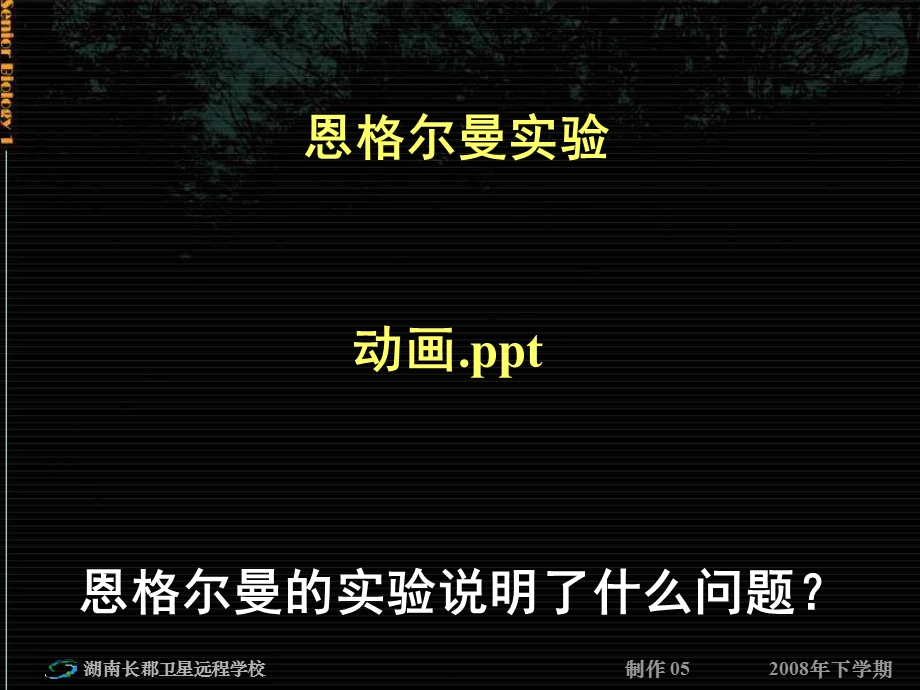 人教版教学课件5-4-2能量之源-光和光合作用.ppt_第3页