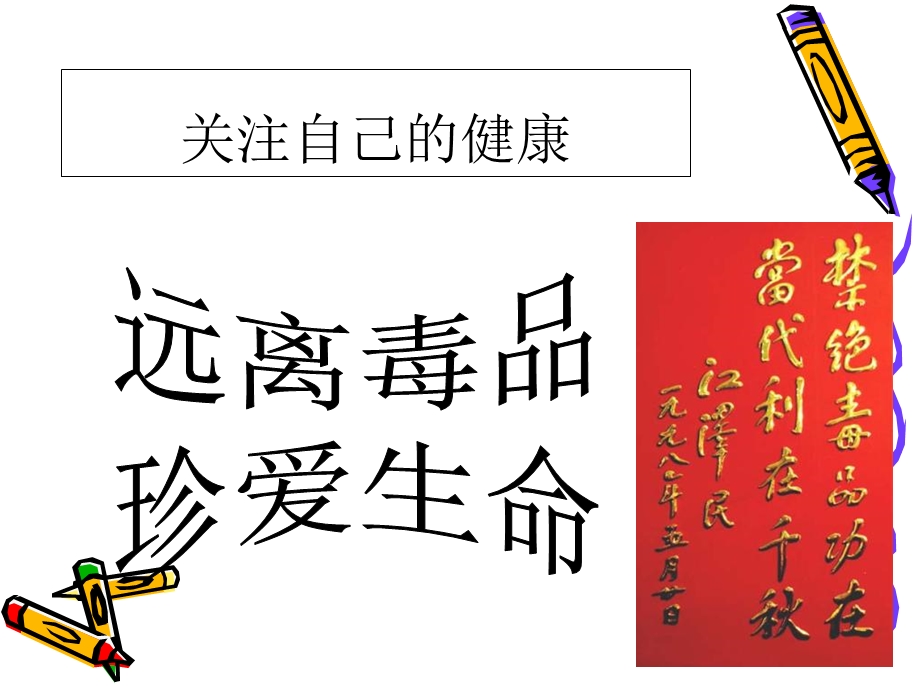 主题班会《远离毒品珍爱生命》课件之二.ppt_第2页