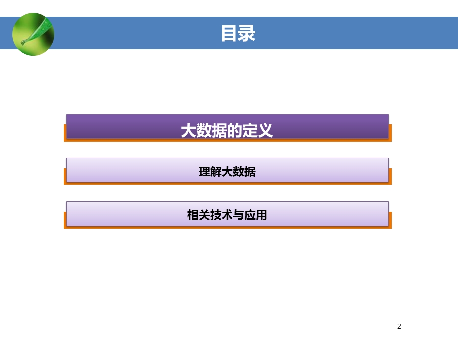 了解大数据1花木赛兰.ppt_第2页