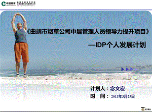 作业IDP个人发展计划模板.ppt