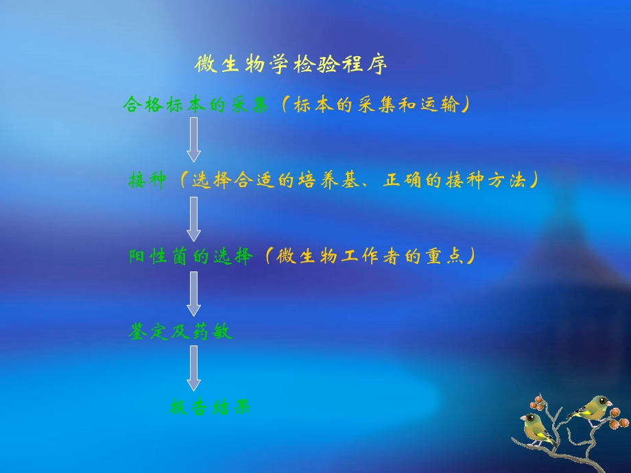 临床微生物检验.ppt_第3页