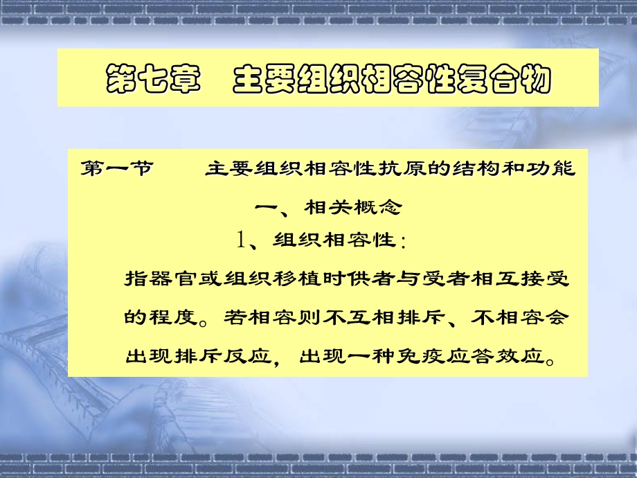 主要组织相容性复合物.ppt_第1页