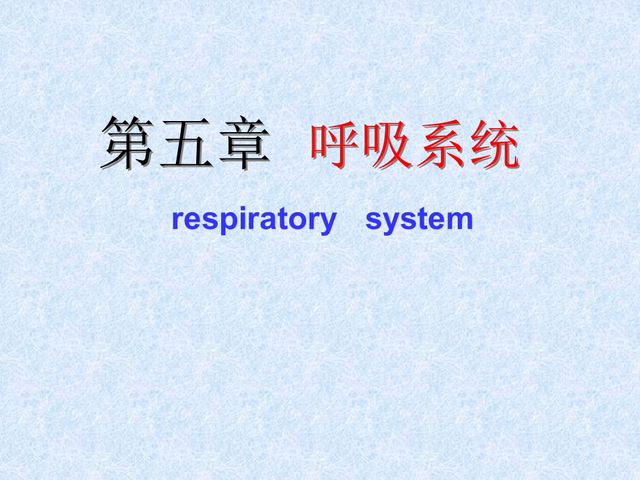 人体解剖学之呼吸系统.ppt_第1页