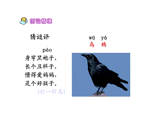 人教版一年级语文下册19乌鸦喝水(人教版).ppt