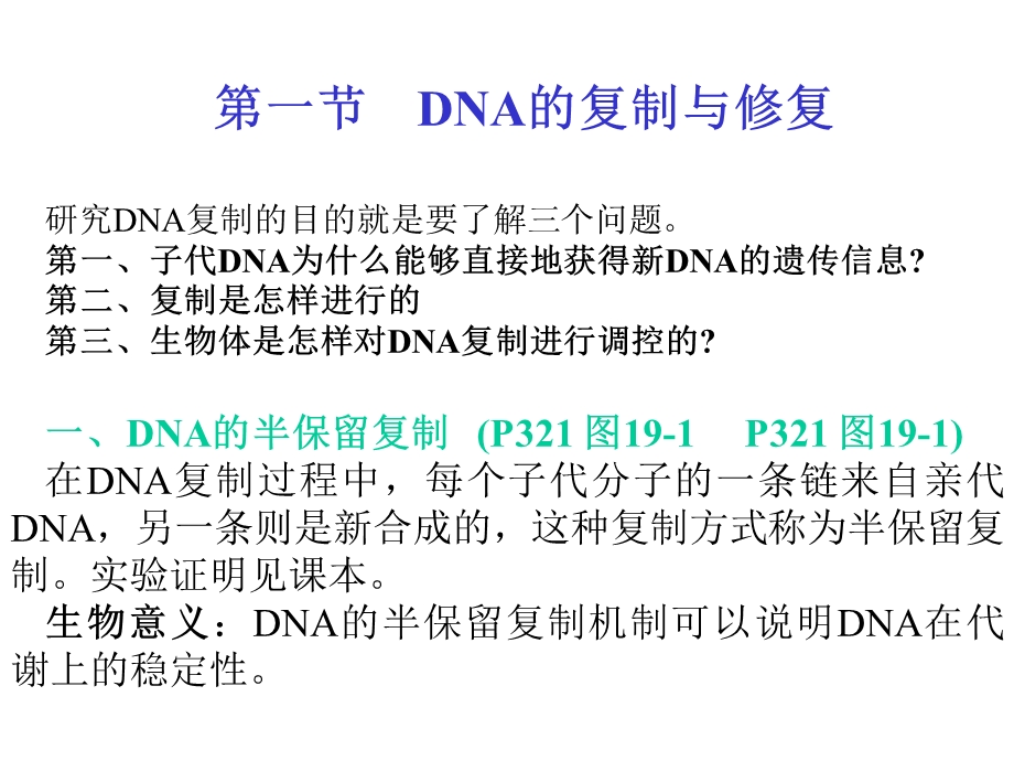 主要讨论DNA的生物合成即DNA的半保留复制.ppt_第2页