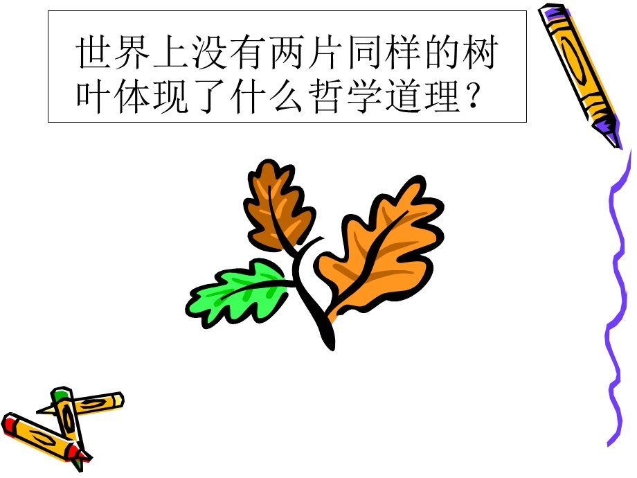 事物的矛盾具有各自的特点.ppt_第2页