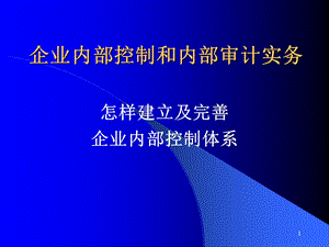 企业内部控制和内部审计实务.ppt