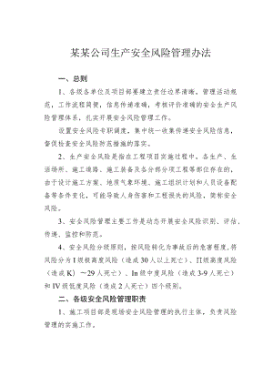 某某公司生产安全风险管理办法.docx