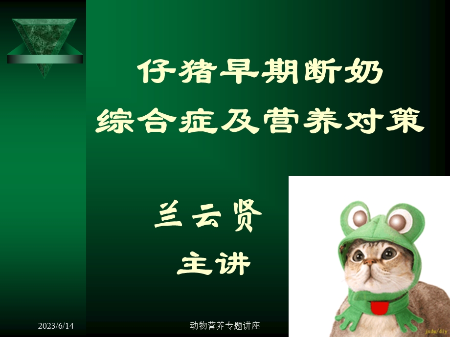 仔猪早期断奶综合症幻灯片.ppt_第1页