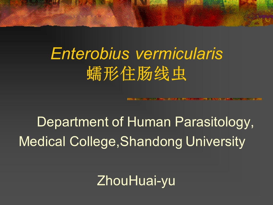 人体寄生虫学-蛲虫旋毛虫.ppt_第1页