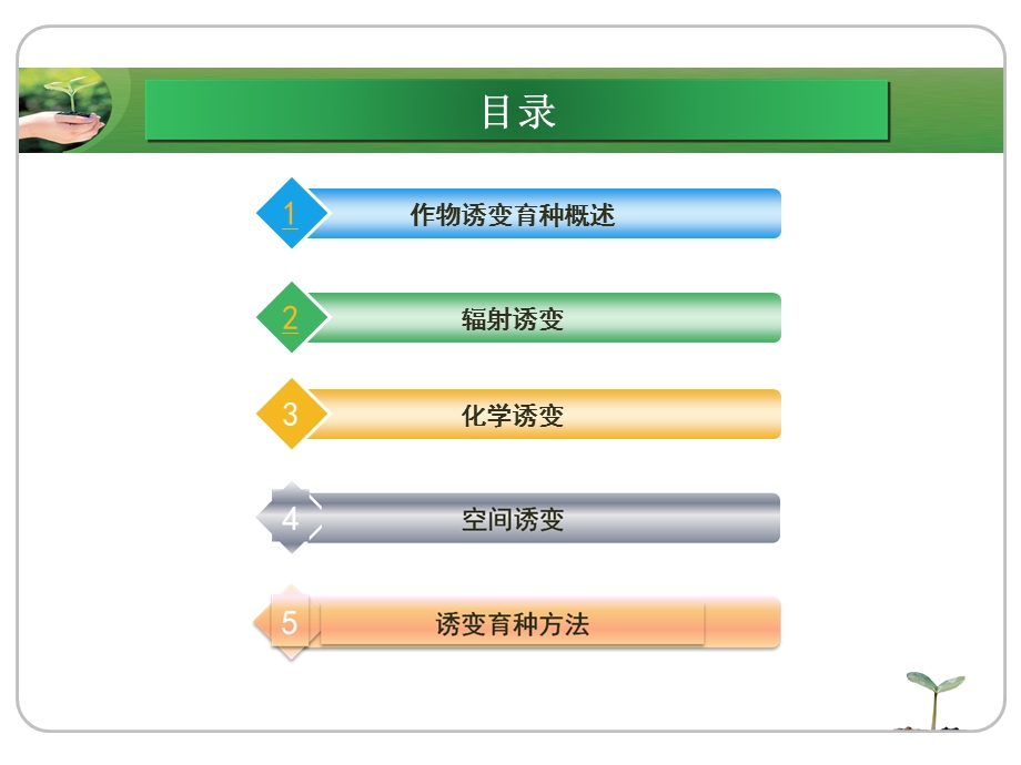 作物育种学-诱变育种ppt.ppt_第3页