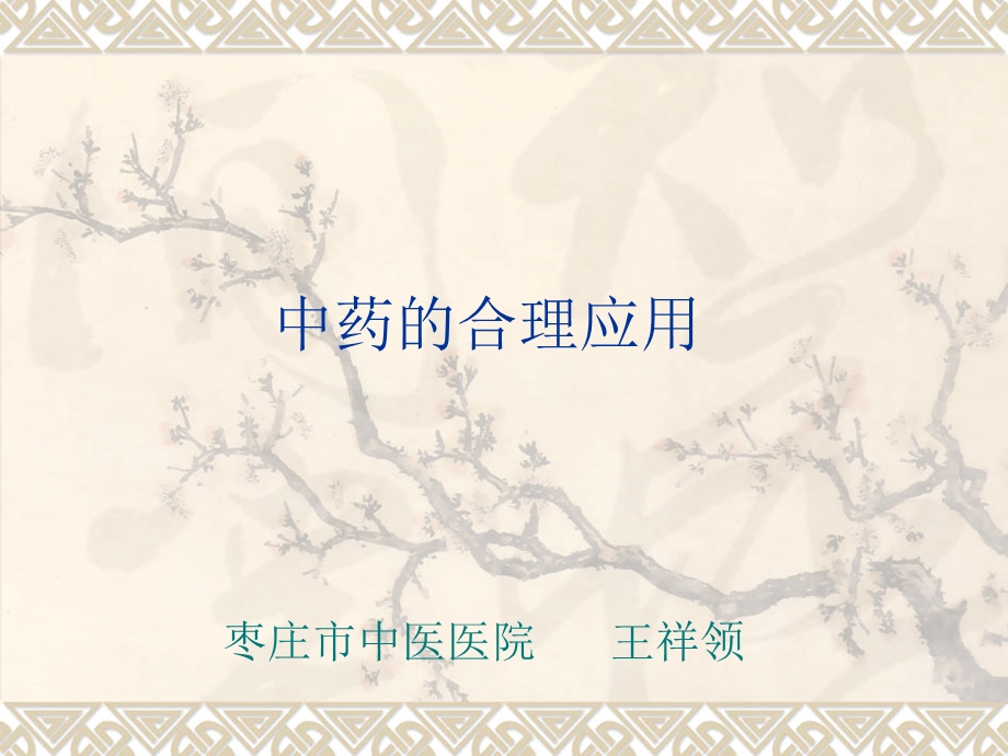 中药的合理应用王祥领.ppt_第1页