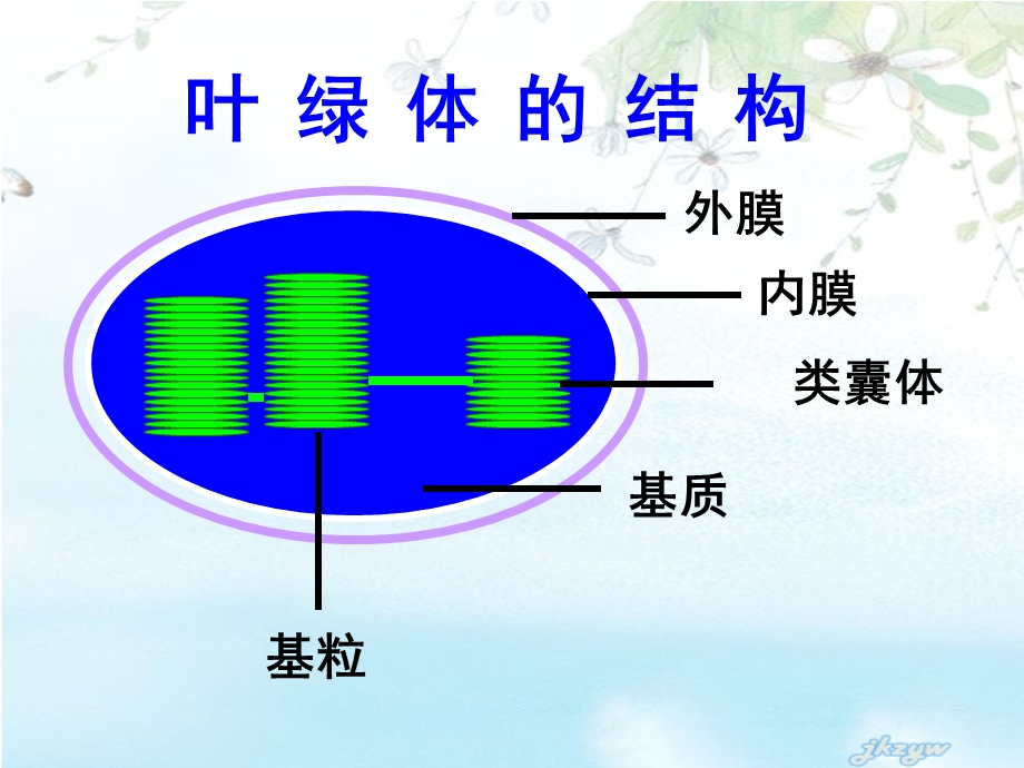 人教版教学课件光合作用的原理和应用(第一课时).ppt_第2页