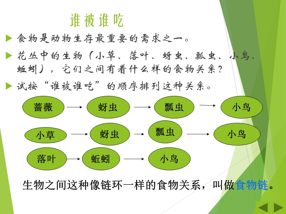 五年级科学上册第一单元食物链和食物网.ppt_第3页