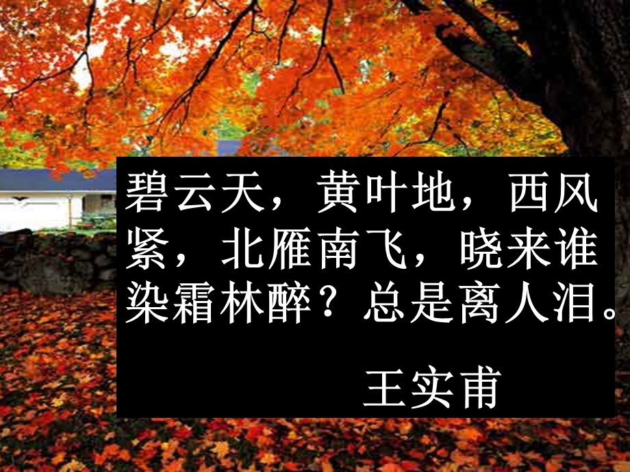 中职语文故都的秋.ppt_第3页