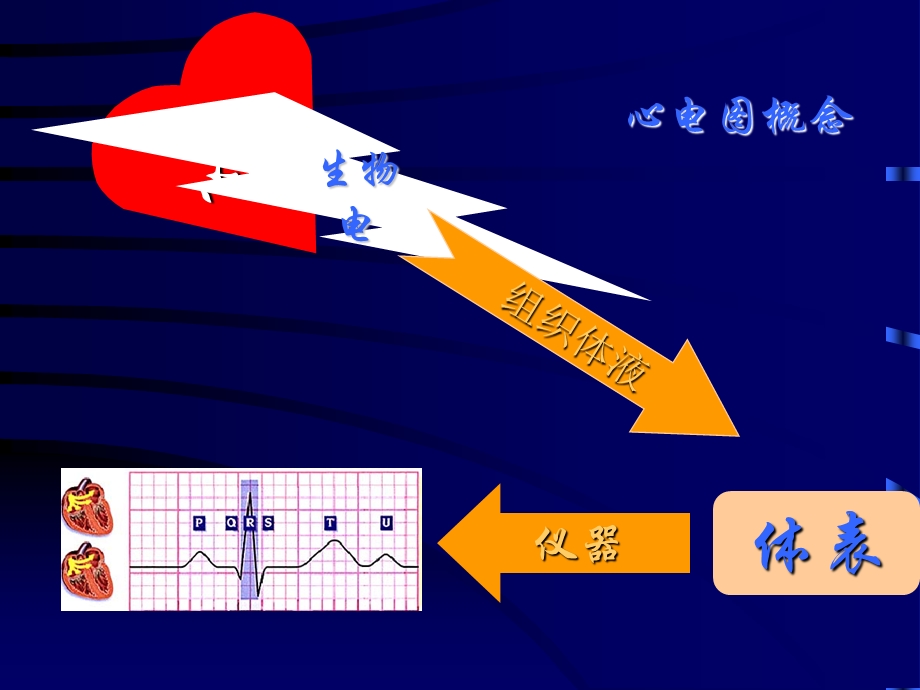 临床心电图基本知识.ppt_第2页