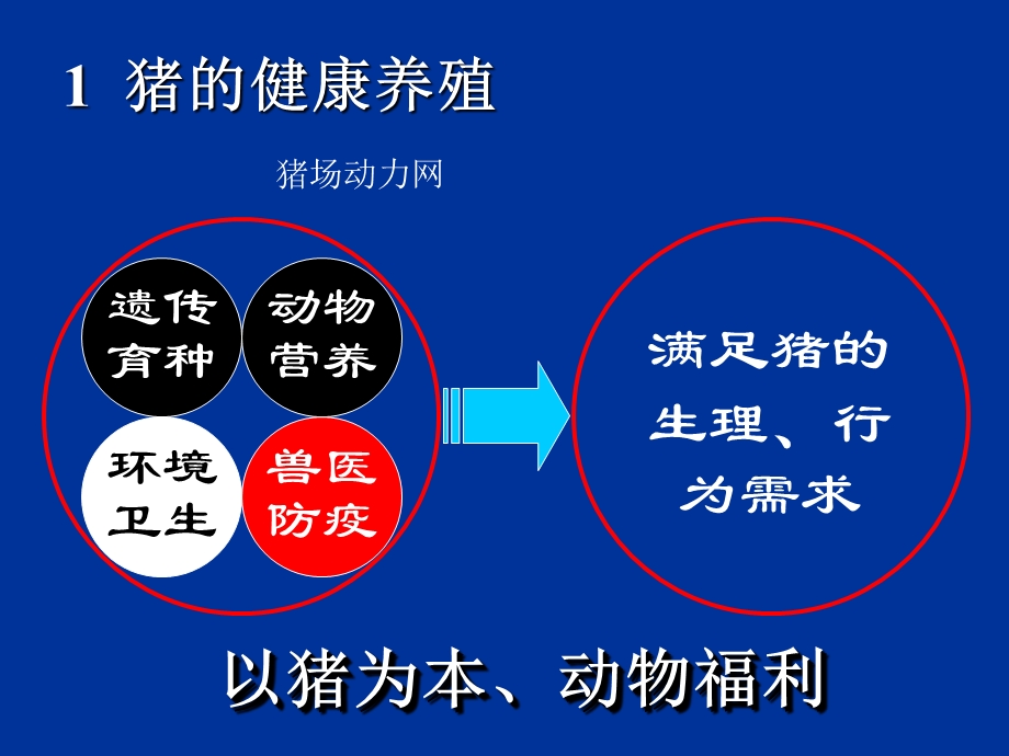 中药在养猪生产中的应.ppt_第3页