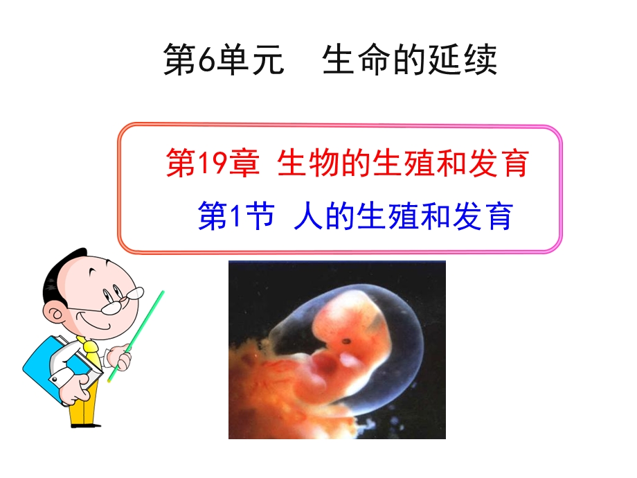 人的生殖和发育6ba.ppt_第1页