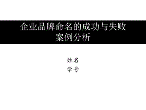 企业品牌命名的成功与失败案例分析.ppt