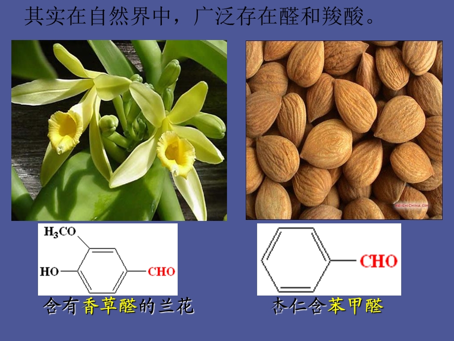 乙醇的催化与氧化.ppt_第2页