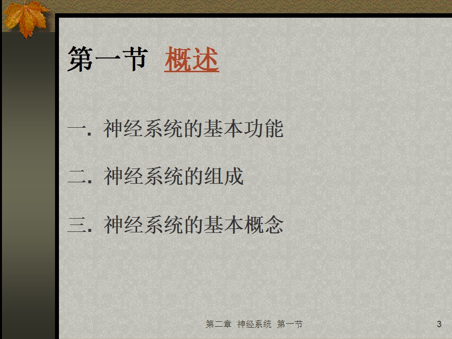 人体生理解剖-神经系统.ppt_第3页