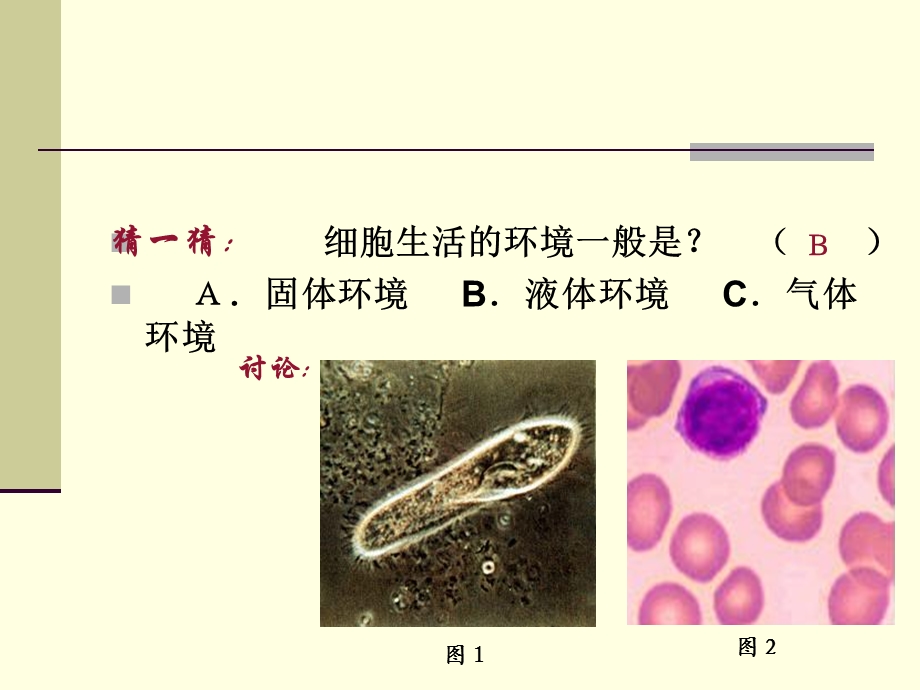 人体内环境的自稳态.ppt_第2页