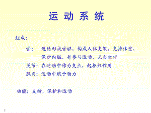 人体骨骼解剖学.ppt