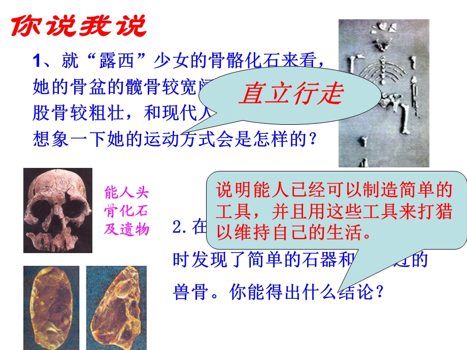 人类的进化共34张PPT.ppt_第3页