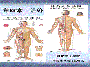 中基课件-经络学说.ppt