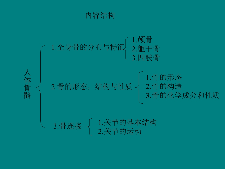 人体骨骼-医学解剖.ppt_第2页