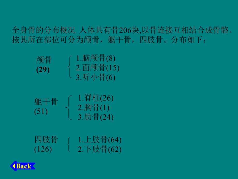 人体骨骼-医学解剖.ppt_第3页