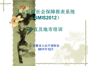 人力资源社会保障报表系统SMIS省直及地市培训.ppt