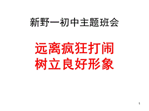 主题班会：远离疯狂打闹树立良好形象.ppt