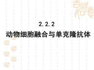 人教版教学课件动物细胞融合及单克隆抗体公开课.ppt