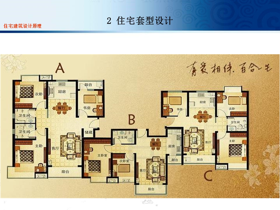 住宅建筑设计原理2套型.ppt_第3页