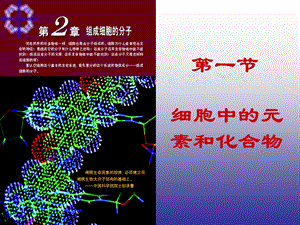 人教版必修一第二章第一节细胞中的元素及化合物.ppt