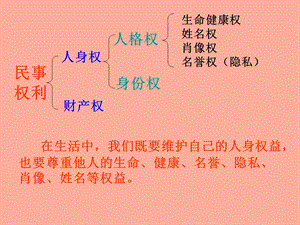 依法行使财产权.ppt