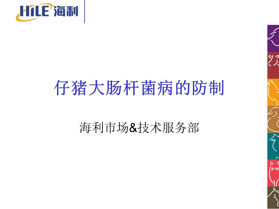 仔猪大肠杆菌病的防制.ppt_第1页