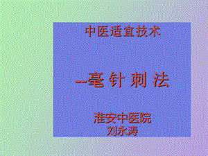 中医技术毫针刺法.ppt