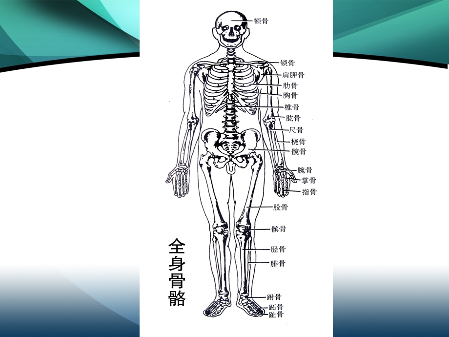 中医经络穴位趣味谈.ppt_第1页