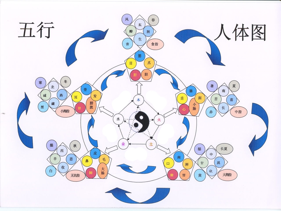 中医经络穴位趣味谈.ppt_第2页