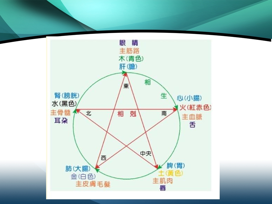 中医经络穴位趣味谈.ppt_第3页