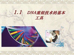 人教版教学课件1.1DNA重组技术的工具.ppt