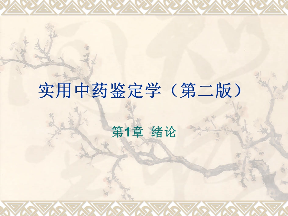 中药鉴定学第一章.ppt_第1页