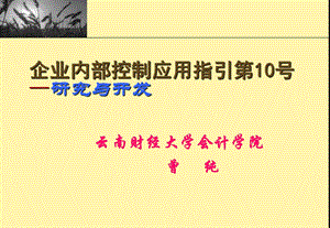 企业内部控制应用指引解读第10号研究与开发.ppt